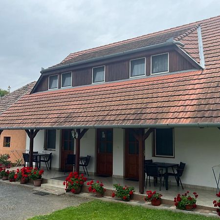 Apartament Ibolya Vendeghaz Kehidakustány Zewnętrze zdjęcie