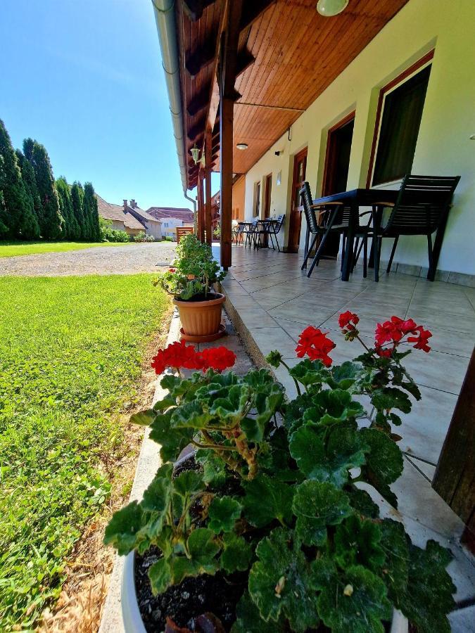 Apartament Ibolya Vendeghaz Kehidakustány Zewnętrze zdjęcie